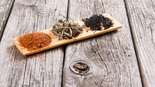 8 Best Rooibos Skin Products for Radiant, Healthy-Looking Skin